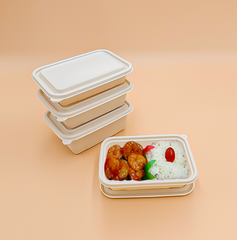 长方形餐盒